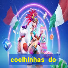 coelhinhas do brasil jp